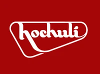 Hochuli Ing. AG logo