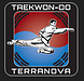 Taekwon-Do Terranova Zürich