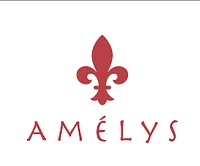 Logo Amélys Sàrl