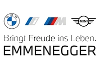 Logo Felix Emmenegger AG