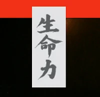 Praxis für Akupunktur und Traditionelle Chinesische Kräutermedizin-Logo