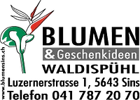 Logo Blumen & Geschenkideen Waldispühl