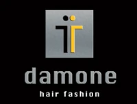Damone Hair Fashion logo