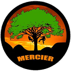 Mercier Arboristes-Grimpeurs Sàrl