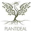 PLANTiDEAL, sourcing de plantes & conseils jardin