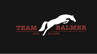 Team Balmer GmbH logo