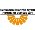 Herrmann Pflanzen GmbH