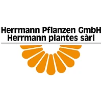 Logo Herrmann Pflanzen GmbH