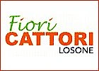 Fiori Cattori c/o Mercato Cattori-Logo
