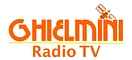 Ghielmini Roberto logo