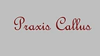 Praxis Callus