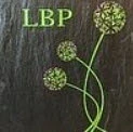 LB Paysages logo