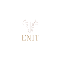 Logo Enit AG