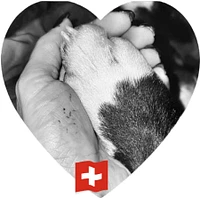 Dogs Life Éducation-Logo