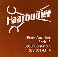 Haarbudigg-Logo