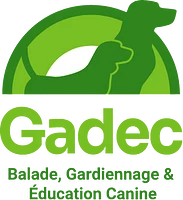 Logo GADEC Sàrl