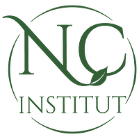 NC Institut-Logo