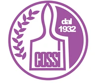 Cossi A. + G. Sagl logo