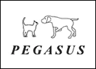 Cabinet vétérinaire Pegasus logo