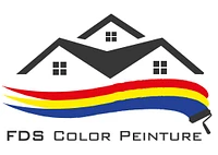 Logo FDS Color Peinture-Fabio Braga