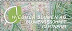 Wiedmer-Blumen AG