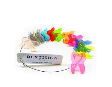 Dentision