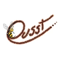 Ousst Sàrl logo