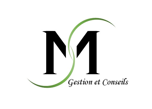 MS Gestion et Conseils