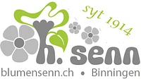 Senn Blumen AG logo