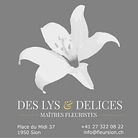 Logo Des Lys et Délices Sàrl