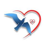 Logo Il Gabbiano - Assistenza Infermieristica di Base e Psichiatrica, Cure a domicilio