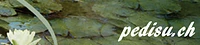 Logo Fusspflege Pedisu