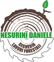 Nesurini Daniele - Lavori Forestali e Segheria logo