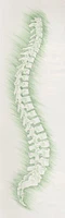 Cabinet d'Ostéopathie Pérolles logo