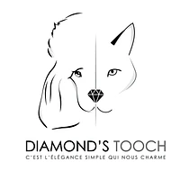 DIAMOND'S TOOCH logo