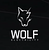 Wolf electricité SA