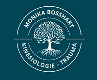 Logo Praxis für Kinesiologie & Traumabewältigung | Monika Bosshart