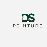 DS Peinture logo
