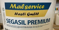 Malservice Hasli GmbH logo