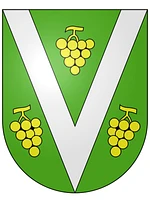 Logo Vacallo