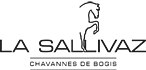 Manège de la Sallivaz & Poney club-Logo
