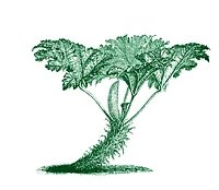 Flükiger Gartenbau logo