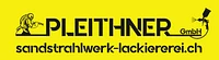 Logo Pleithner GmbH