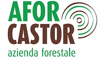 Logo AFOR CASTOR Sagl