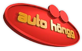 Logo Auto Höngg Zürich