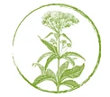 Pflanzensammlung Emmen GmbH