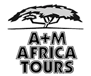 Logo A + M Africa Tours GmbH
