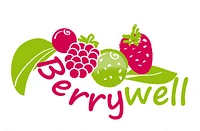 Logo Berrywell-Praxis für Ernährungsberatung und Prävention Sabrina Dobrautz
