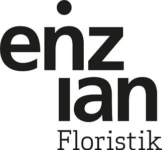 Enzian Floristik