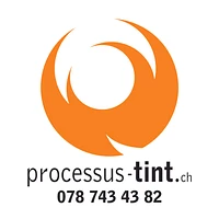 Logo Processus-Tint Sàrl